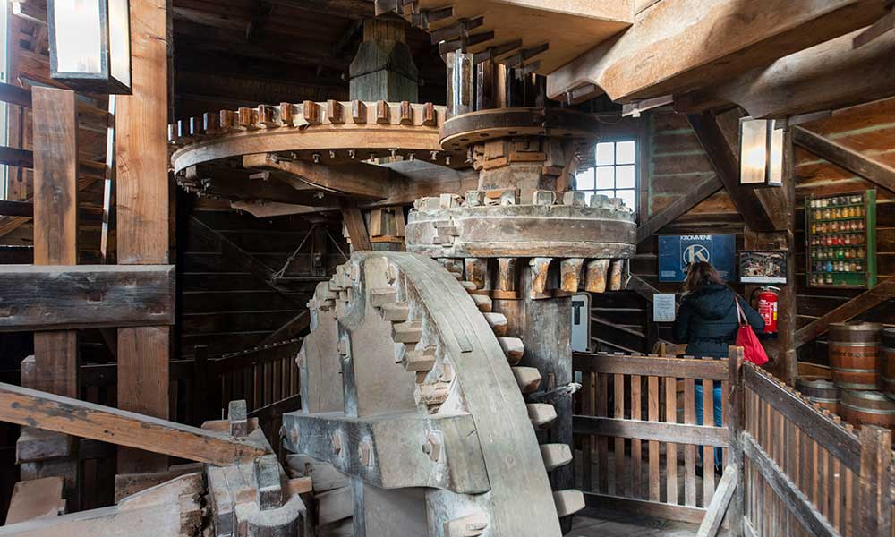 Paint Mill The Cat
