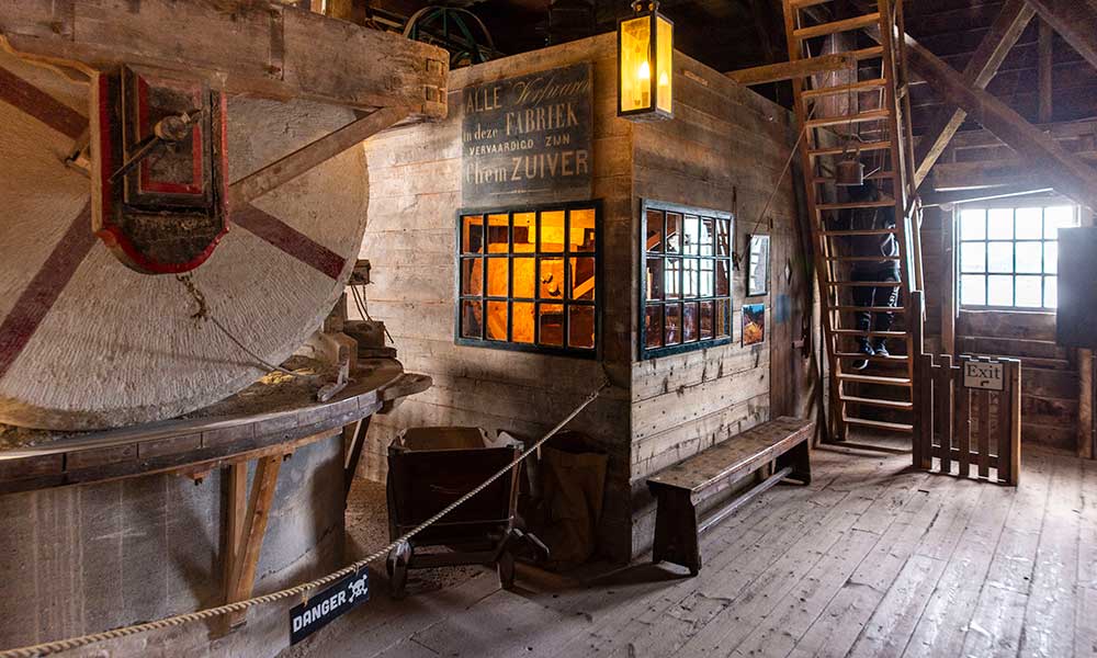 Paint Mill The Cat
