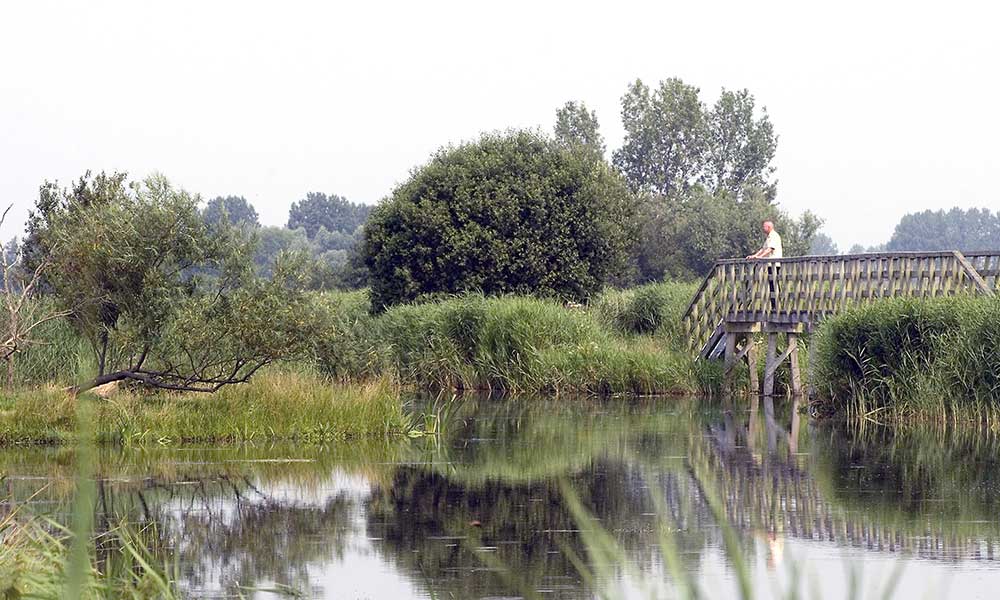 Wandelroute-03 Natuur-wandelroute